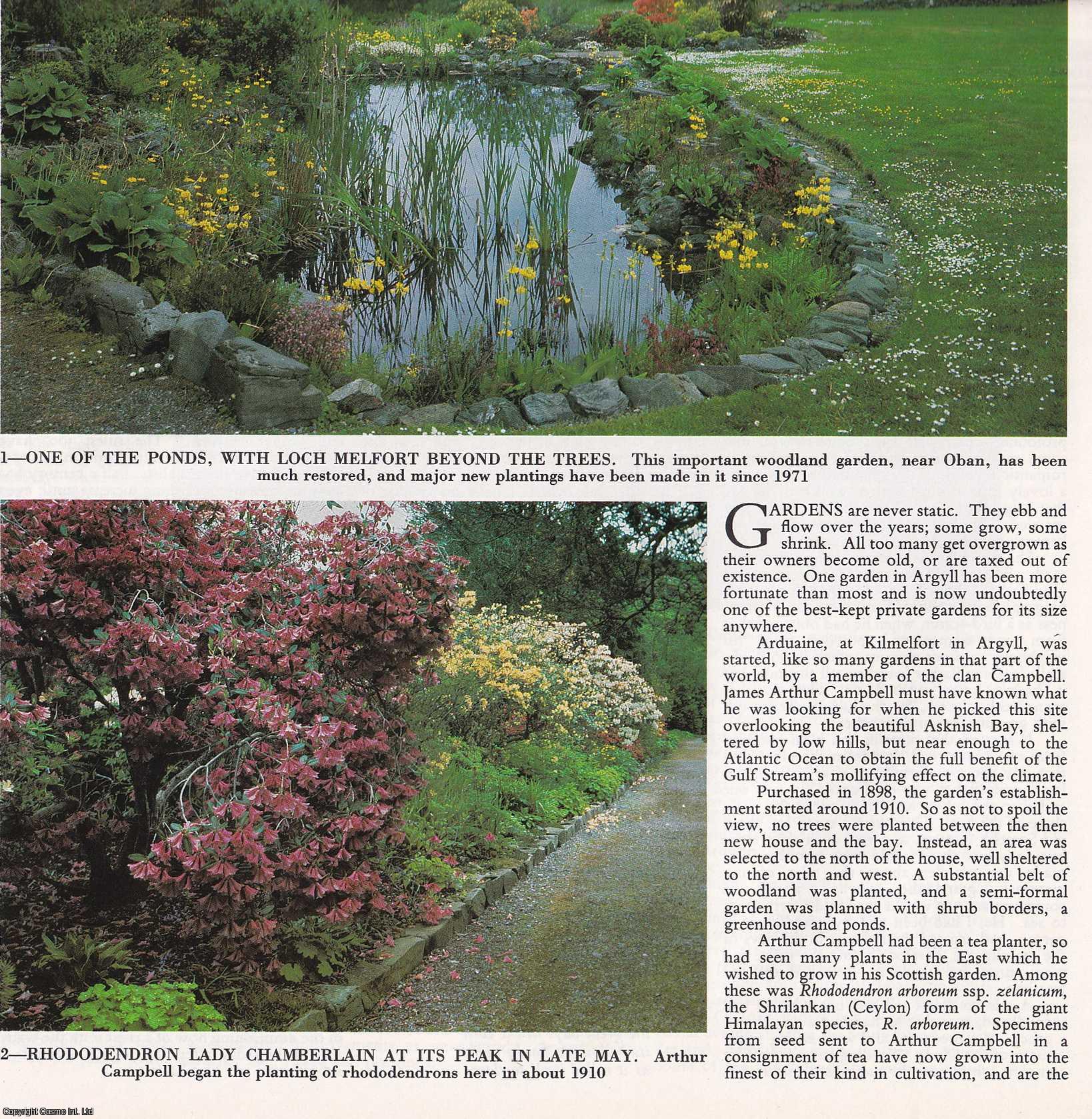 Peter Cox - Gardens of Arduaine, Argyll; Rhododendrons on a Lochside. Several pictures and accompanying text, removed from an original issue of Country Life Magazine, 1984.