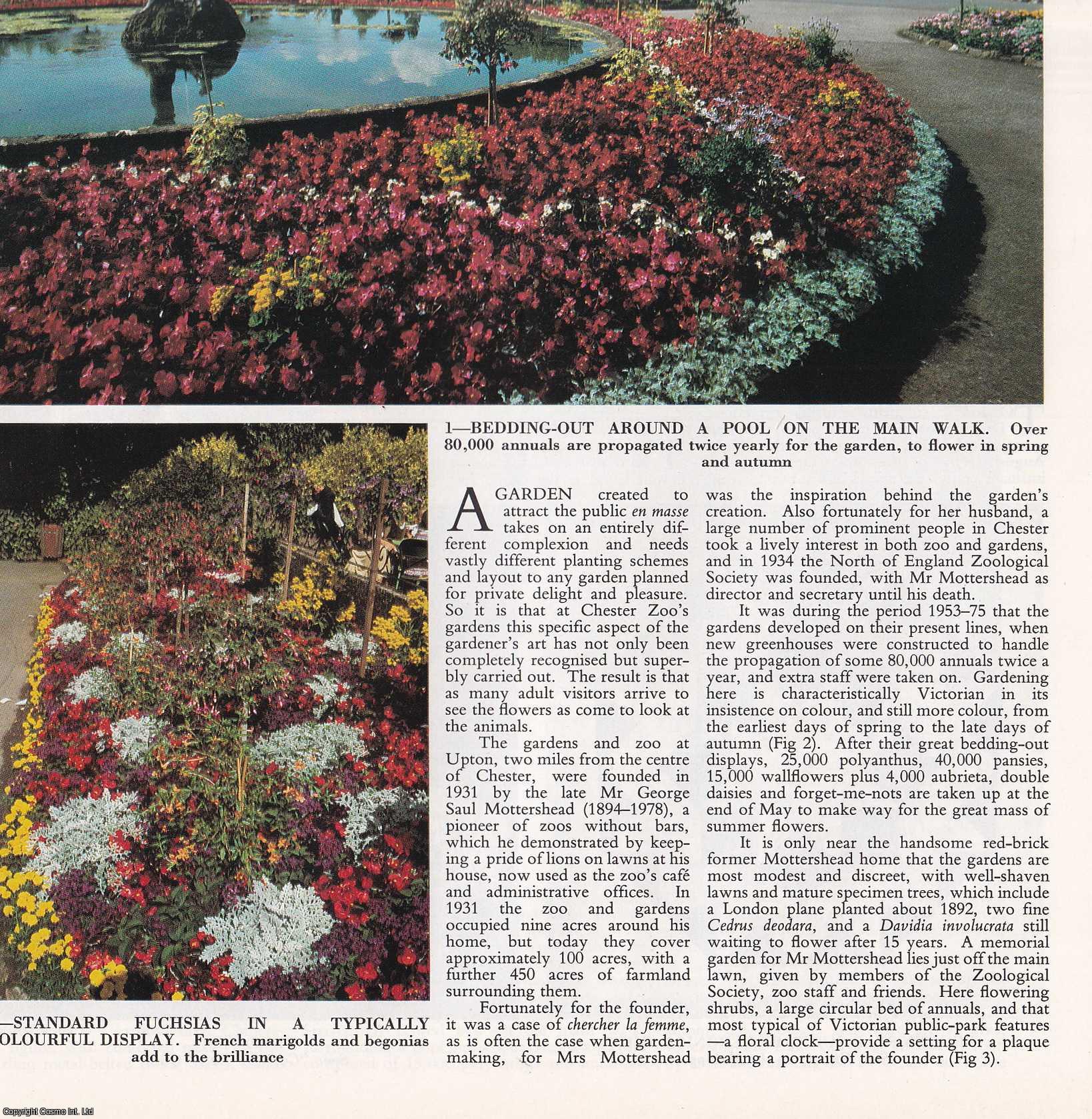 Ken Lemmon - The Gardens of Chester Zoo. Several pictures and accompanying text, removed from an original issue of Country Life Magazine, 1985.