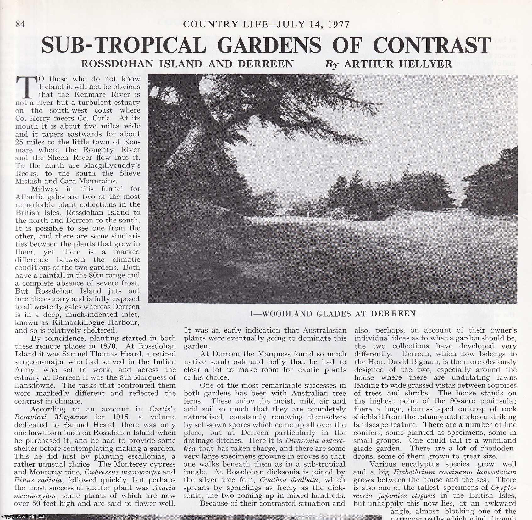 Arthur Hellyer - Rossdohan Island and Derreen, where Co. Kerry meets Co. Cork: Two of the Most Remarkable Plant Collections in the British Isles. Several pictures and accompanying text, removed from an original issue of Country Life Magazine, 1977.