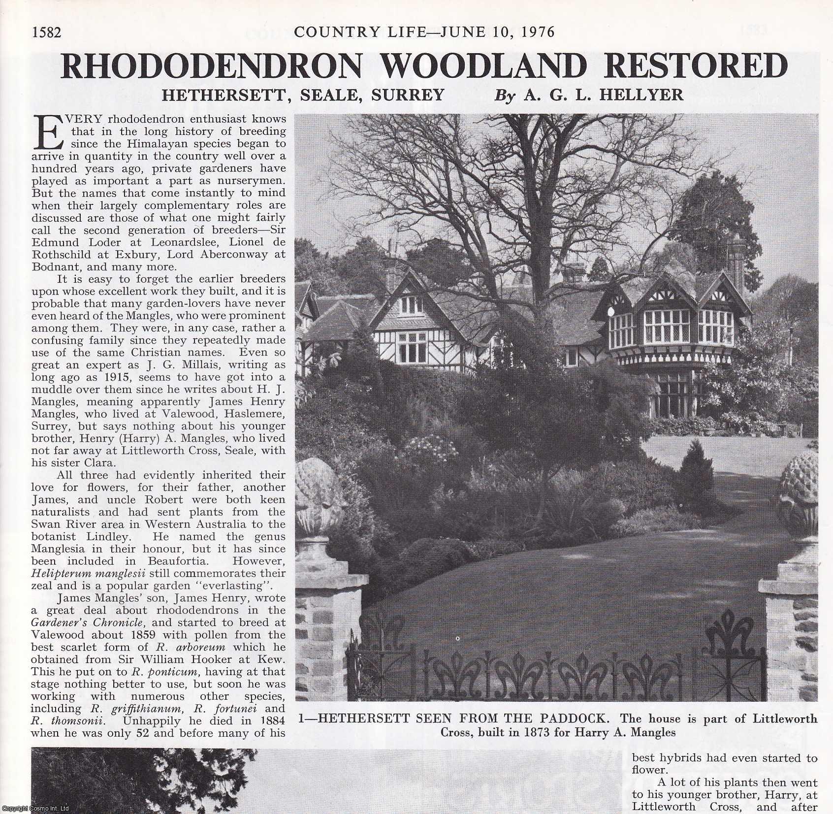 A.G.L. Hellyer - Hethersett, Seale, Surrey; Rhododendron Woodland Restored. Several pictures and accompanying text, removed from an original issue of Country Life Magazine, 1976.