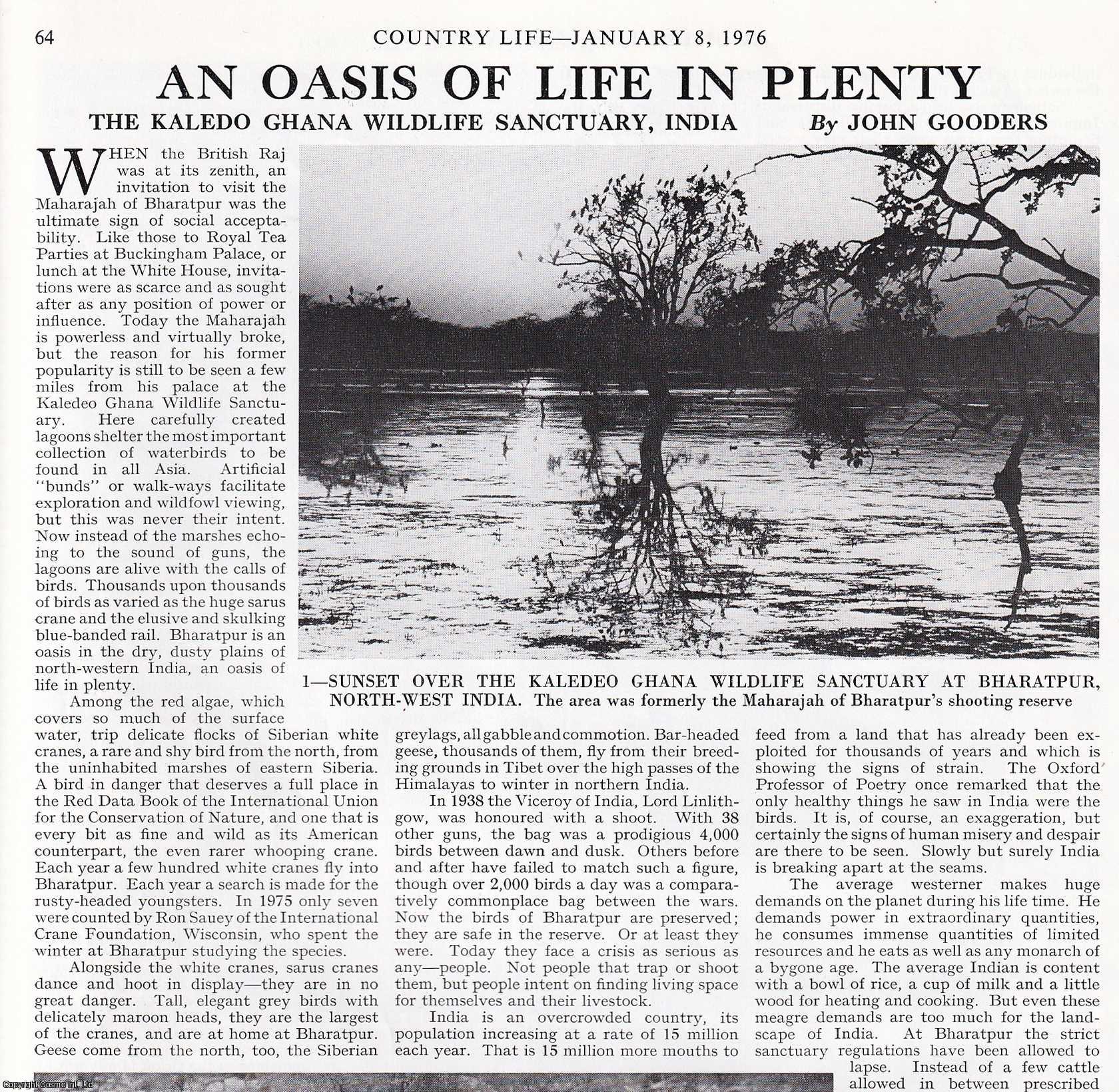 John Gooders - The Kaledo Ghana Wildlife Sanctuary, India. Several pictures and accompanying text, removed from an original issue of Country Life Magazine, 1976.