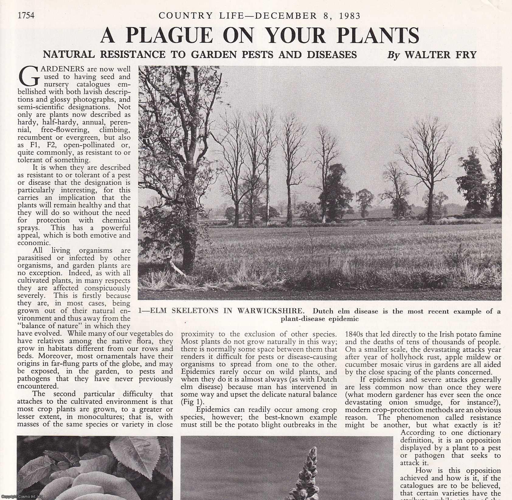 Walter Fry - Natural Resistance to Garden Pests and Diseases. Several pictures and accompanying text, removed from an original issue of Country Life Magazine, 1983.