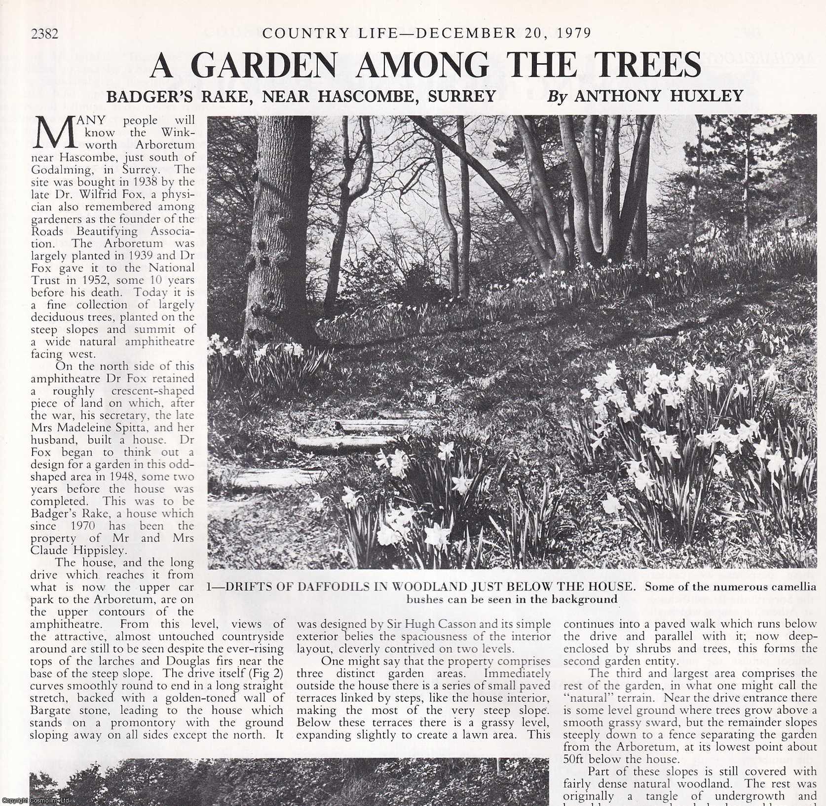 Anthony Huxley - The Garden of Badger's Rake, near Hascombe, Surrey. Several pictures and accompanying text, removed from an original issue of Country Life Magazine, 1979.