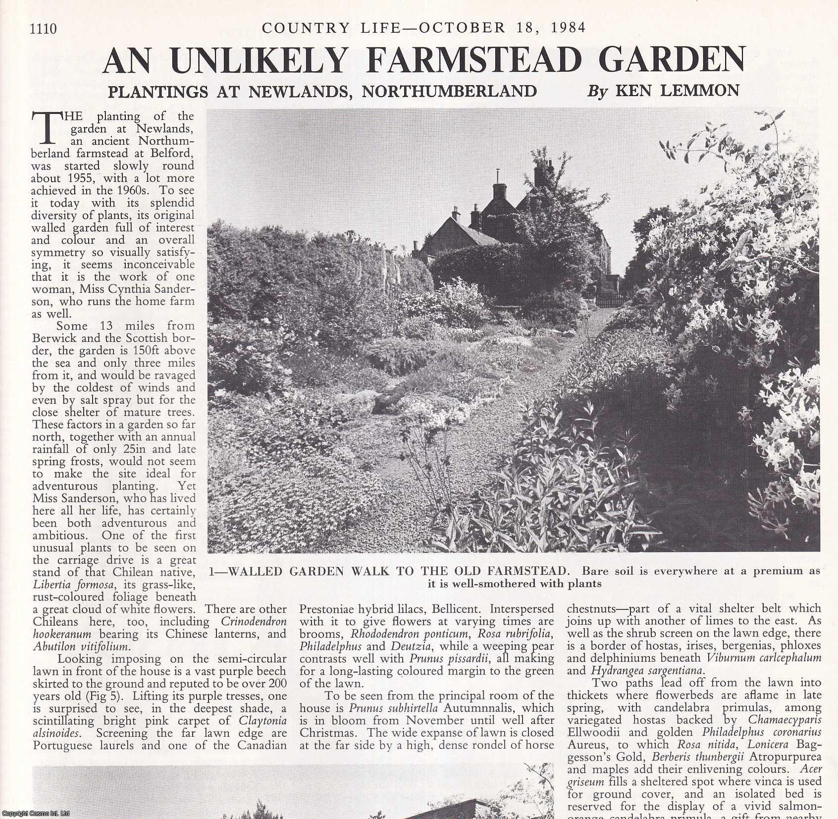 Ken Lemmon - The Planting of the Garden at the Ancient Northumberland Farmstead Newlands, at Belford. Several pictures and accompanying text, removed from an original issue of Country Life Magazine, 1984.