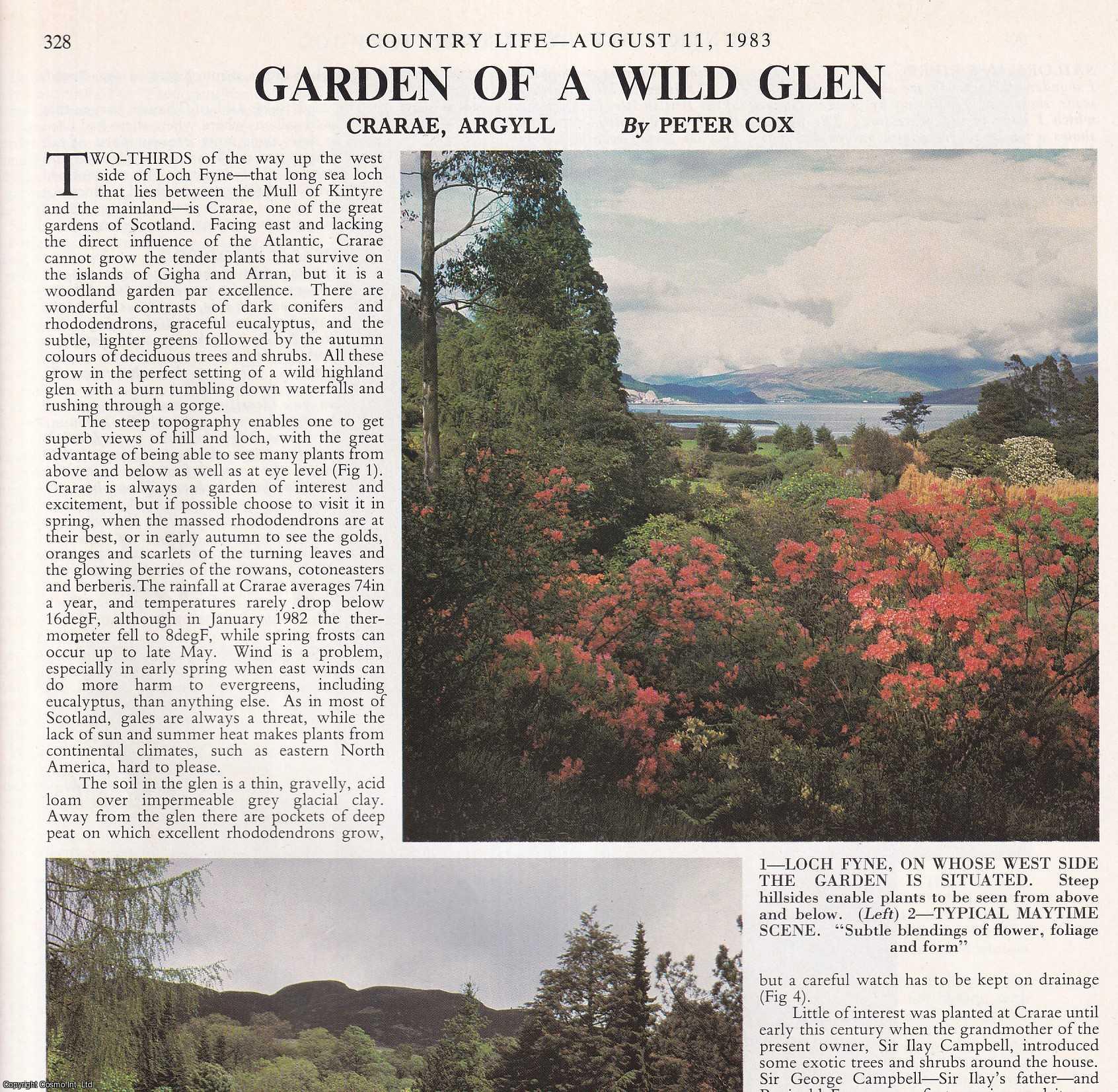 Peter Cox - Crarae, Loch Fyne, Argyll: Garden of a Wild Glen. Several pictures and accompanying text, removed from an original issue of Country Life Magazine, 1983.