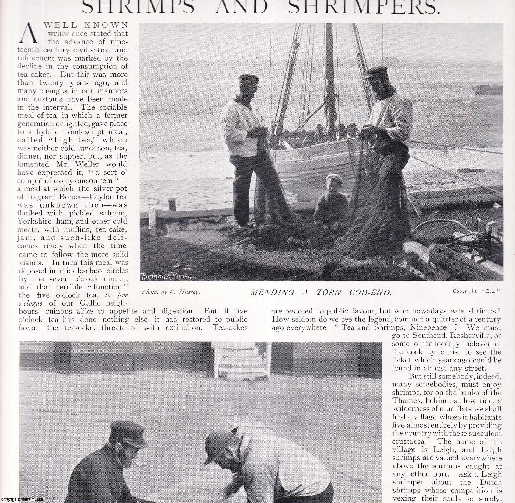 COUNTRY LIFE - Shrimps and Shrimpers. Several pictures and accompanying text, removed from an original issue of Country Life Magazine, 1897.