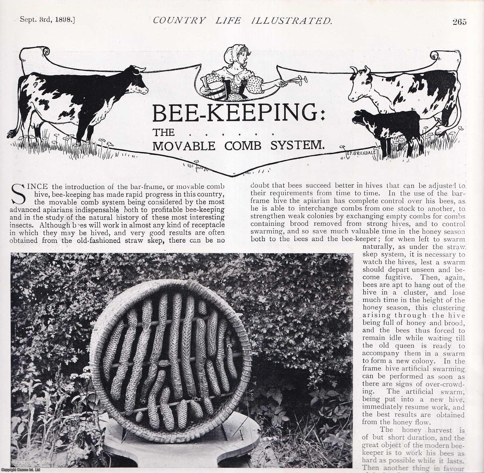 COUNTRY LIFE - Bee-Keeping: The Movable Comb System. Several pictures and accompanying text, removed from an original issue of Country Life Magazine, 1898.