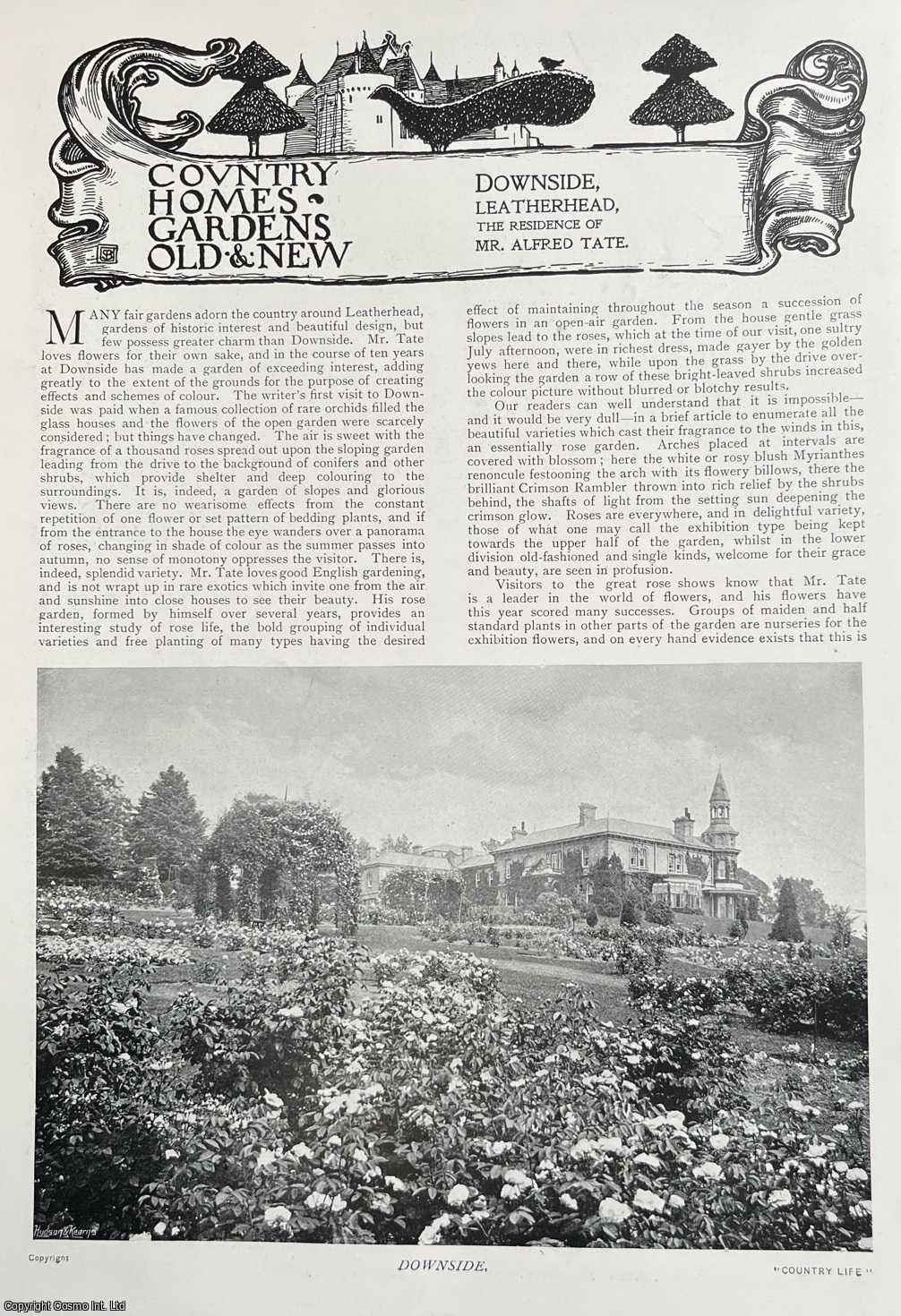 COUNTRY LIFE - Downside, Leatherhead, Surrey. Several pictures and accompanying text, removed from an original issue of Country Life Magazine, 1898.
