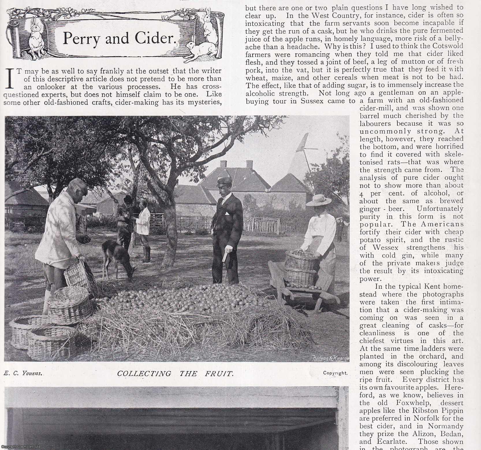 COUNTRY LIFE - Perry and Cider Making. Several pictures and accompanying text, removed from an original issue of Country Life Magazine, 1898.