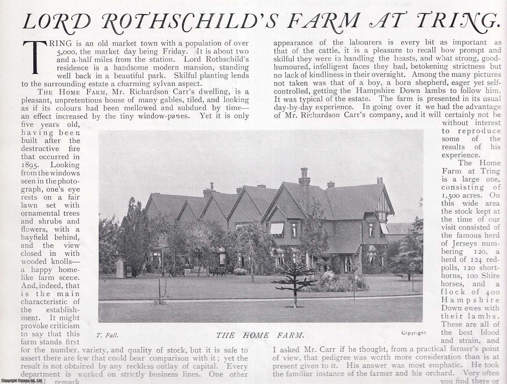 COUNTRY LIFE - Lord Rothchild's Farm and Estate at Tring. Several pictures and accompanying text, removed from an original issue of Country Life Magazine, 1900.