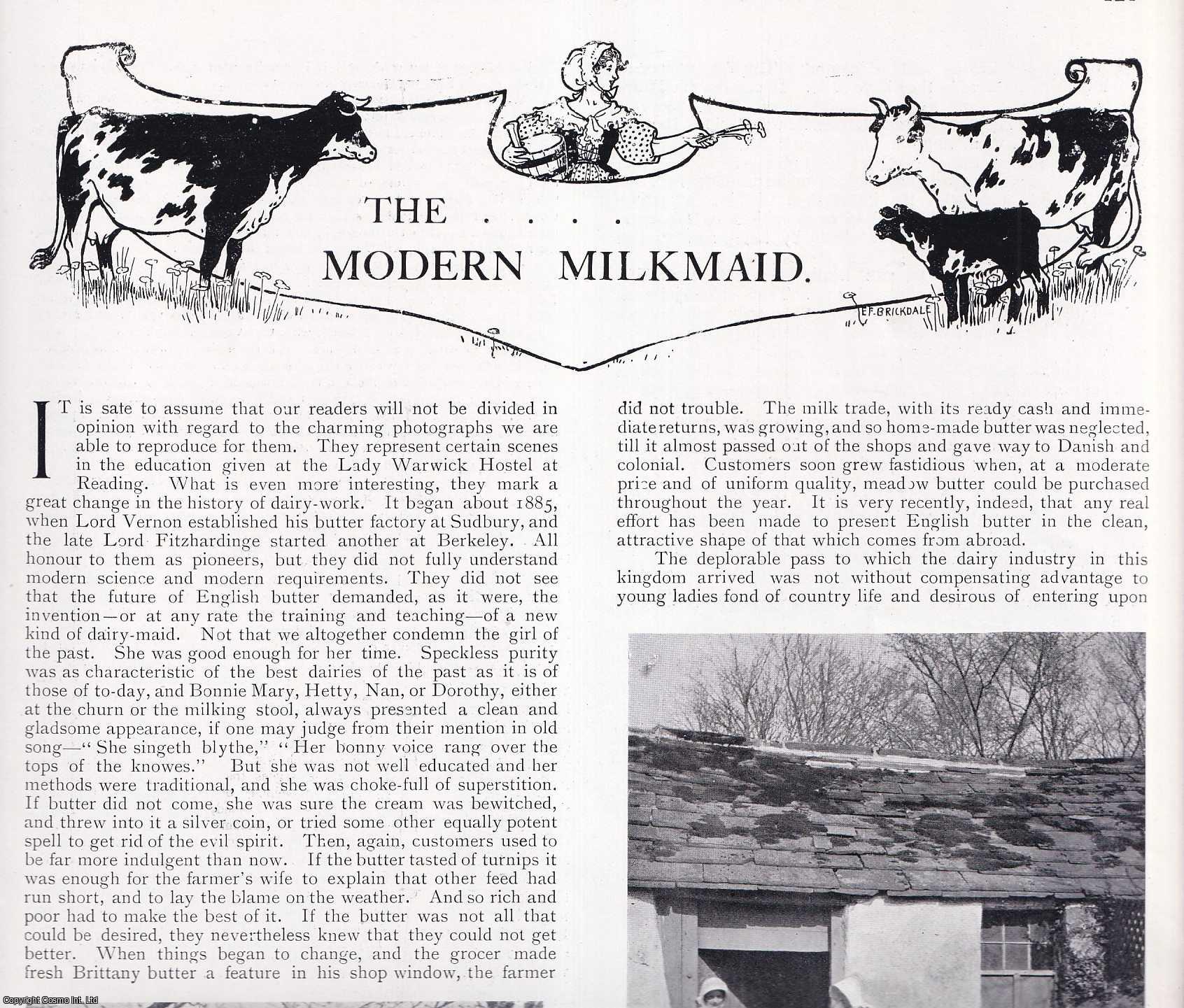 COUNTRY LIFE - The Modern Milkmaid. Several pictures and accompanying text, removed from an original issue of Country Life Magazine, 1900.