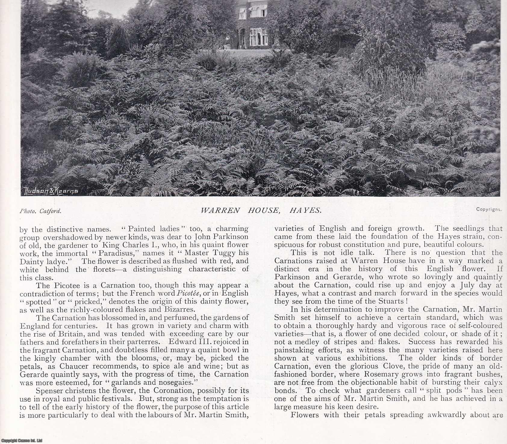 GARDENING - The Carnations Raised by Mr Martin Smith at Warren House, Hayes. Several pictures and accompanying text, removed from an original issue of Country Life Magazine, 1897.