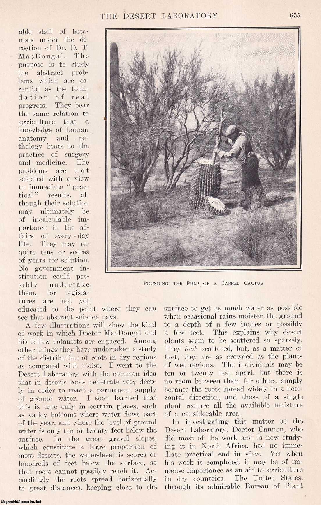 Ellsworth Huntington - Botanical Research: The Desert Laboratory of the Carnegie Institute of Washington near Tuscon, Arizona. This is an original article from the Harper's Monthly Magazine, 1911.
