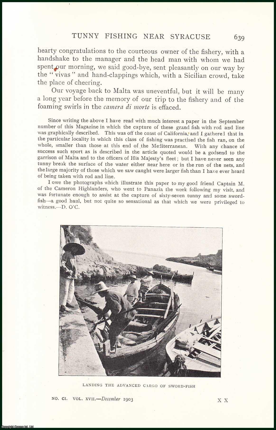Major-General D. O'Callaghan - Tunny Mackerel Fishing Near Syracuse. An uncommon original article from the Badminton Magazine, 1903.