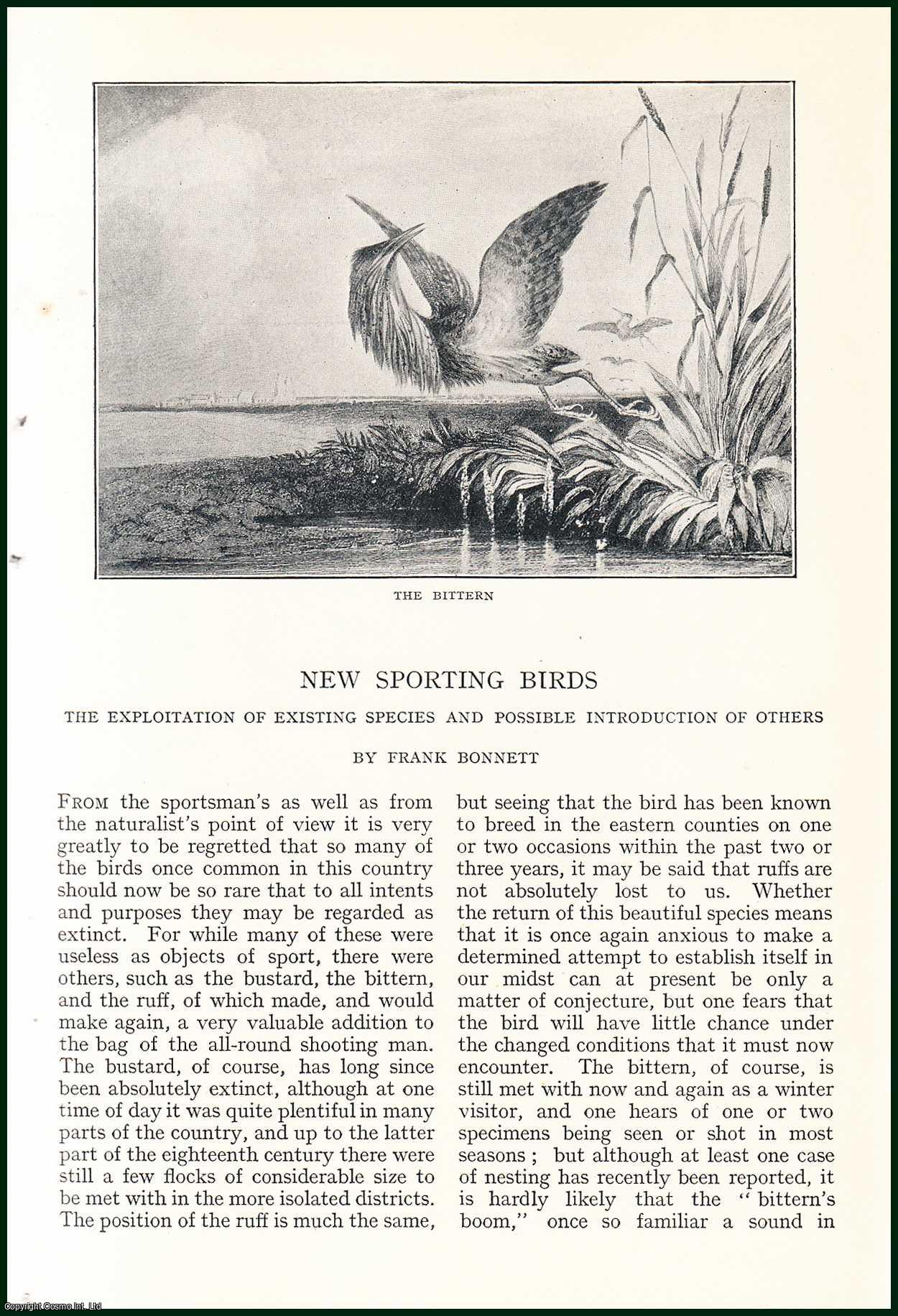 Frank Bonnett - New Sporting Birds : The Exploitation of Existing Species & Possible Introduction of Others. An uncommon original article from the Badminton Magazine, 1913.