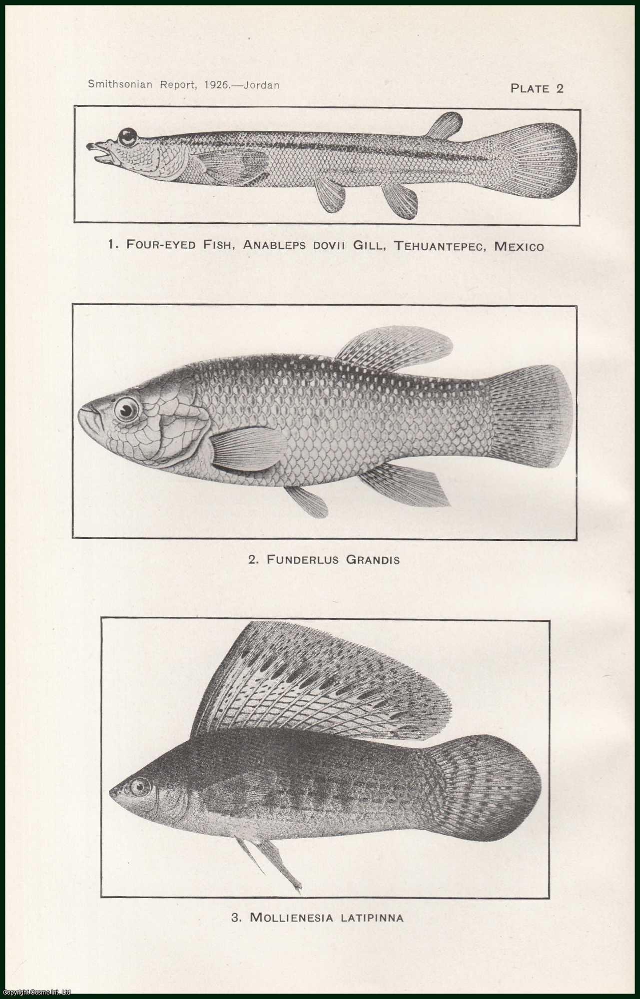 David Starr Jordan - The Mosquito Fish (Gambusia) and its Relation to Malaria. An original article from the Report of the Smithsonian Institution, 1926.