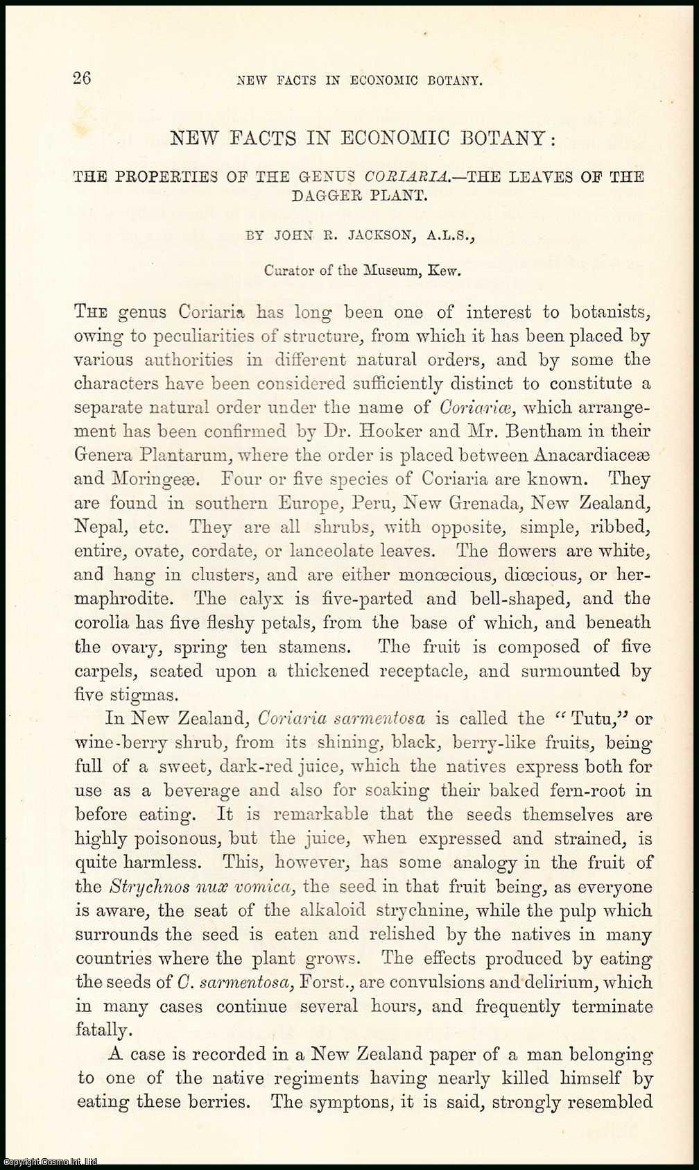 John R. Jackson, Curator, Museum, Royal Gardens, Kew. - The Properties of the Genus Coriaria - The Leaves of the Dagger Plant : New Facts in Economic Botany. An uncommon original article from the Student and Intellectual Observer of Science Literature & Art, 1869.