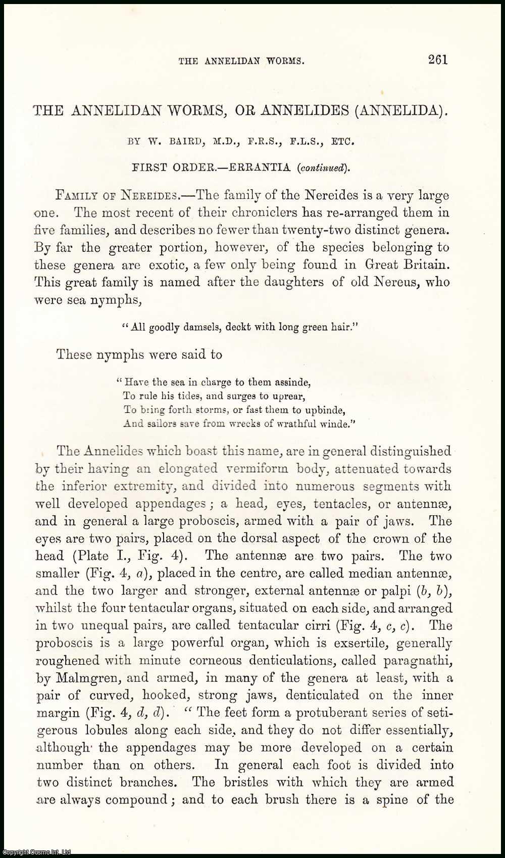 W. Baird, M.D., F.R.S., F.L.S. - Errantia (part 2) : The Annelidan Worms, or Annelides (Annelida). An uncommon original article from the Student and Intellectual Observer of Science Literature & Art, 1869.