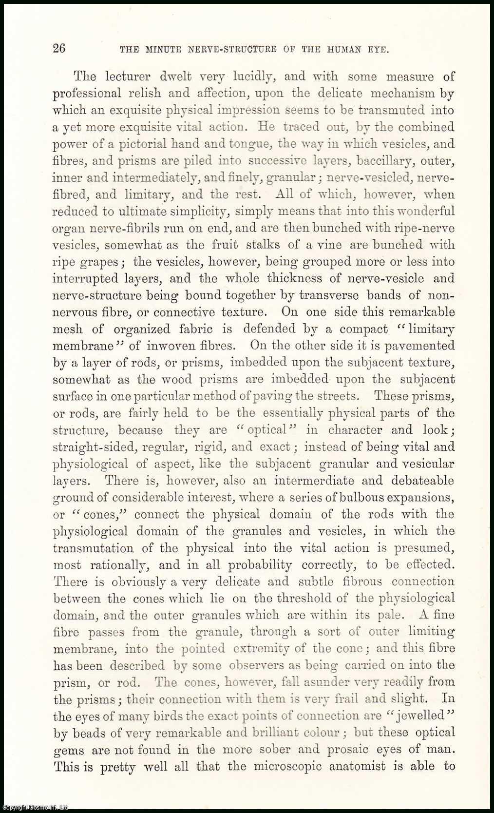 Dr. Mann - The Minute Nerve-Structure of the Human Eye. An uncommon original article from the Student and Intellectual Observer of Science Literature & Art, 1870.