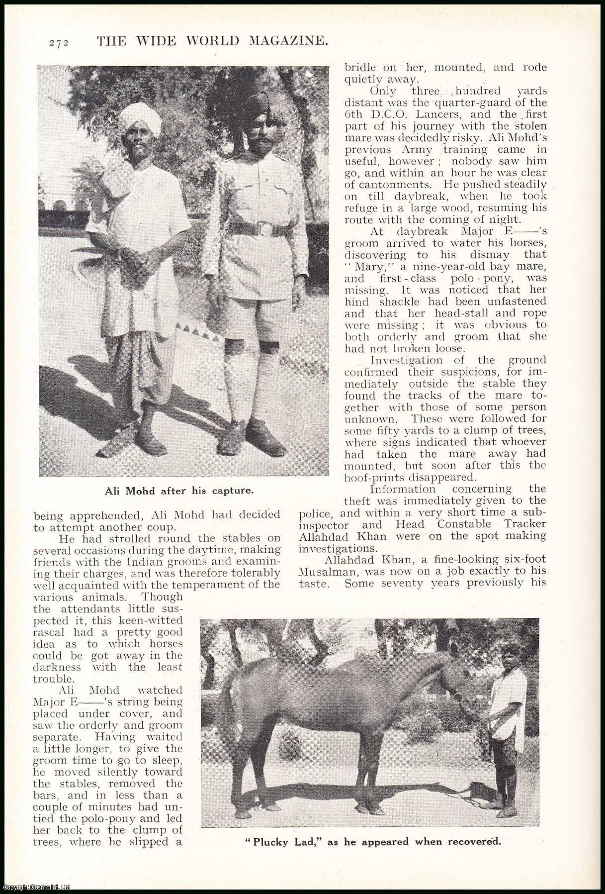 Major H. Barrowcliff Ellis. Illustrated by Ernest Prater. - Tracking Indian Horse-Thieves, accomplished by a native police-officer in India. An uncommon original article from the Wide World Magazine, 1939.