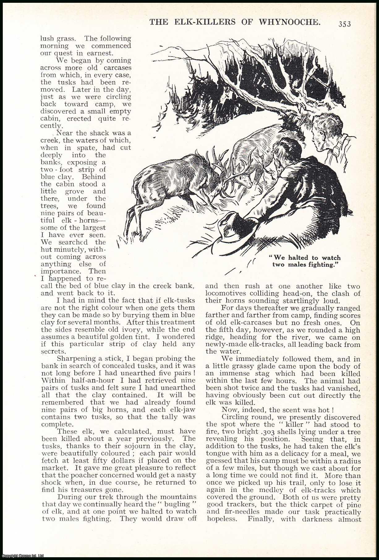 Frank Mossman - The Elk-Killers of Whynooche : rumours reached the U.S. Authorities that poachers in the Wilds of Washington State were shooting elk in large numbers just for the sale of their tusks. An uncommon original article from the Wide World Magazine, 1939.