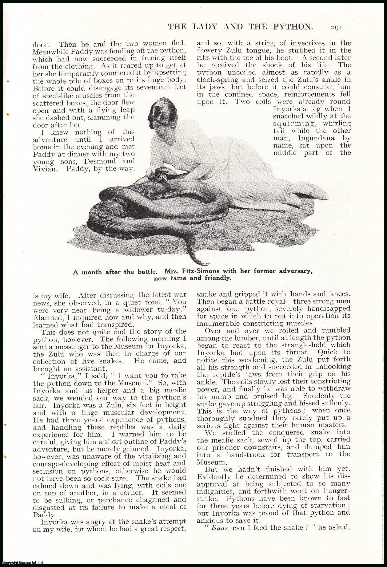 F.W. Fitz-Simons, F.Z.S., F.R.M.S. - The Lady & the Python : a woman's fight for life with a gigantic snake. An uncommon original article from the Wide World Magazine, 1925.