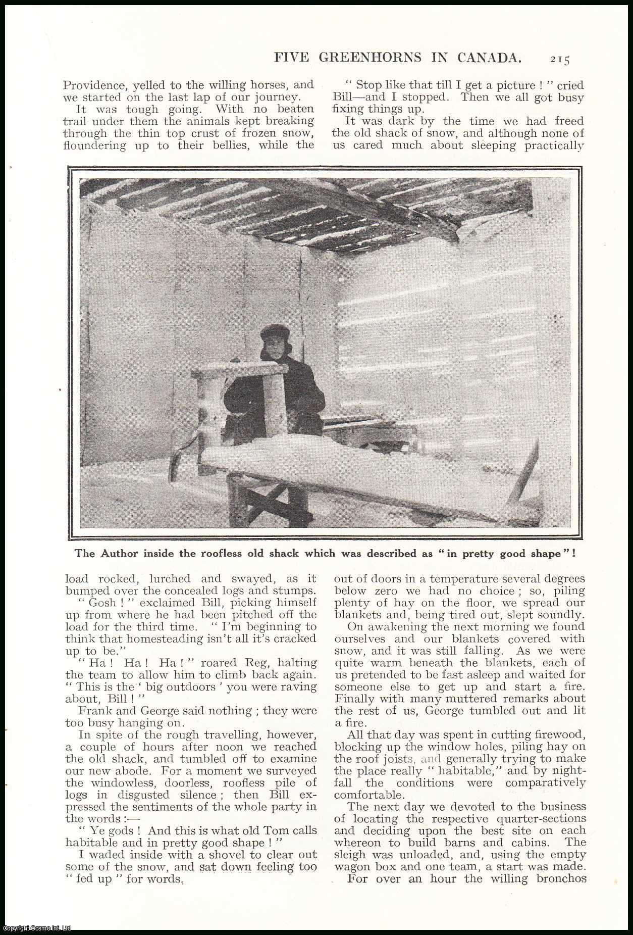 C.V.T. Illustrated by H.M. Brock, R.I. - Five Greenhorns in Canada : five englishmen who made themselves homes in the Canadian wilderness. An uncommon original article from the Wide World Magazine, 1926.