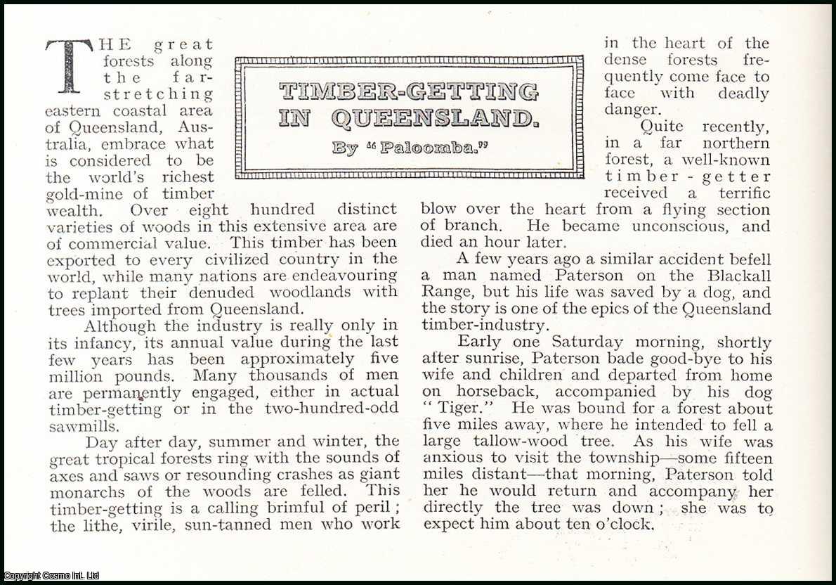 Paloomba - Timber-Getting in Queensland, Australia. An uncommon original article from the Wide World Magazine, 1934.