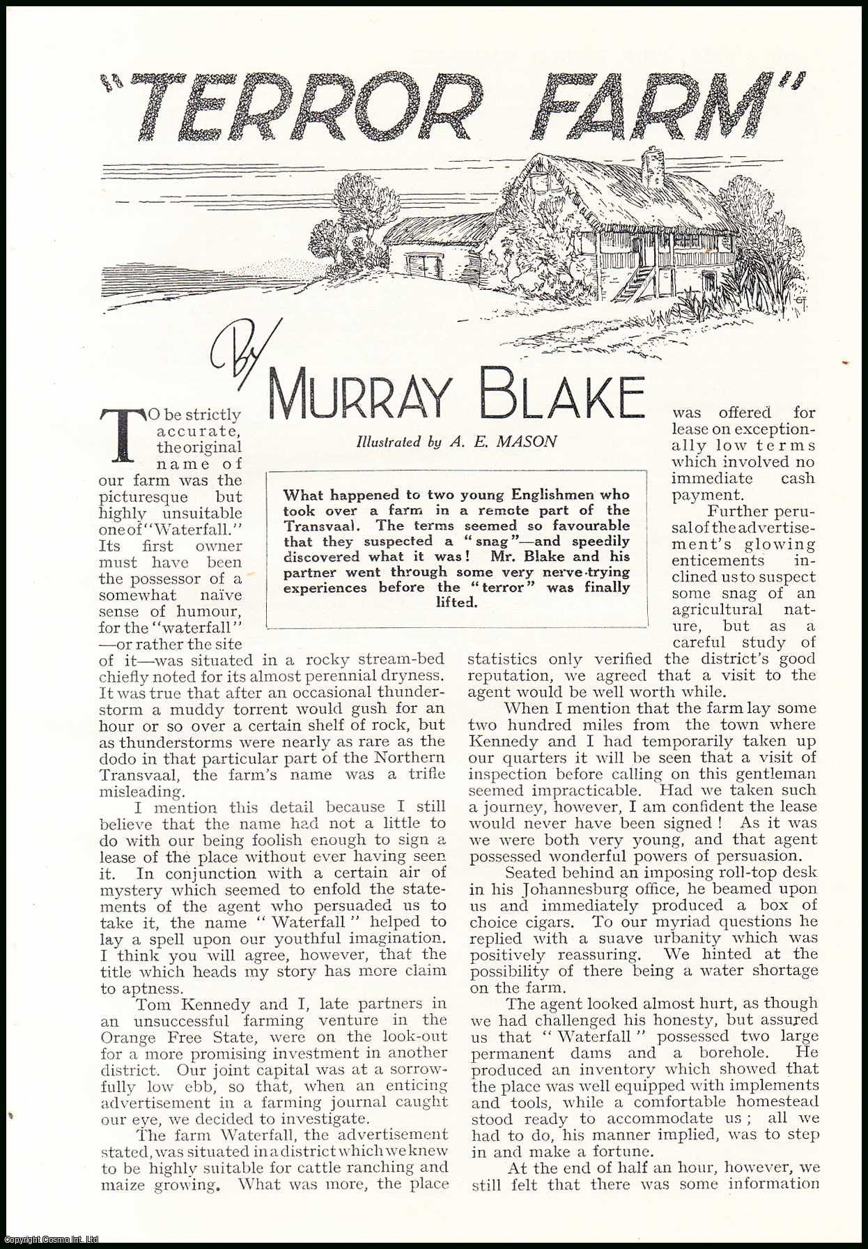 Murray Blake. Illustrated by A.E. Mason. - Terror Farm : what happened to two young Englishmen who took over a farm in a remote part of the Transvaal. An uncommon original article from the Wide World Magazine, 1935.