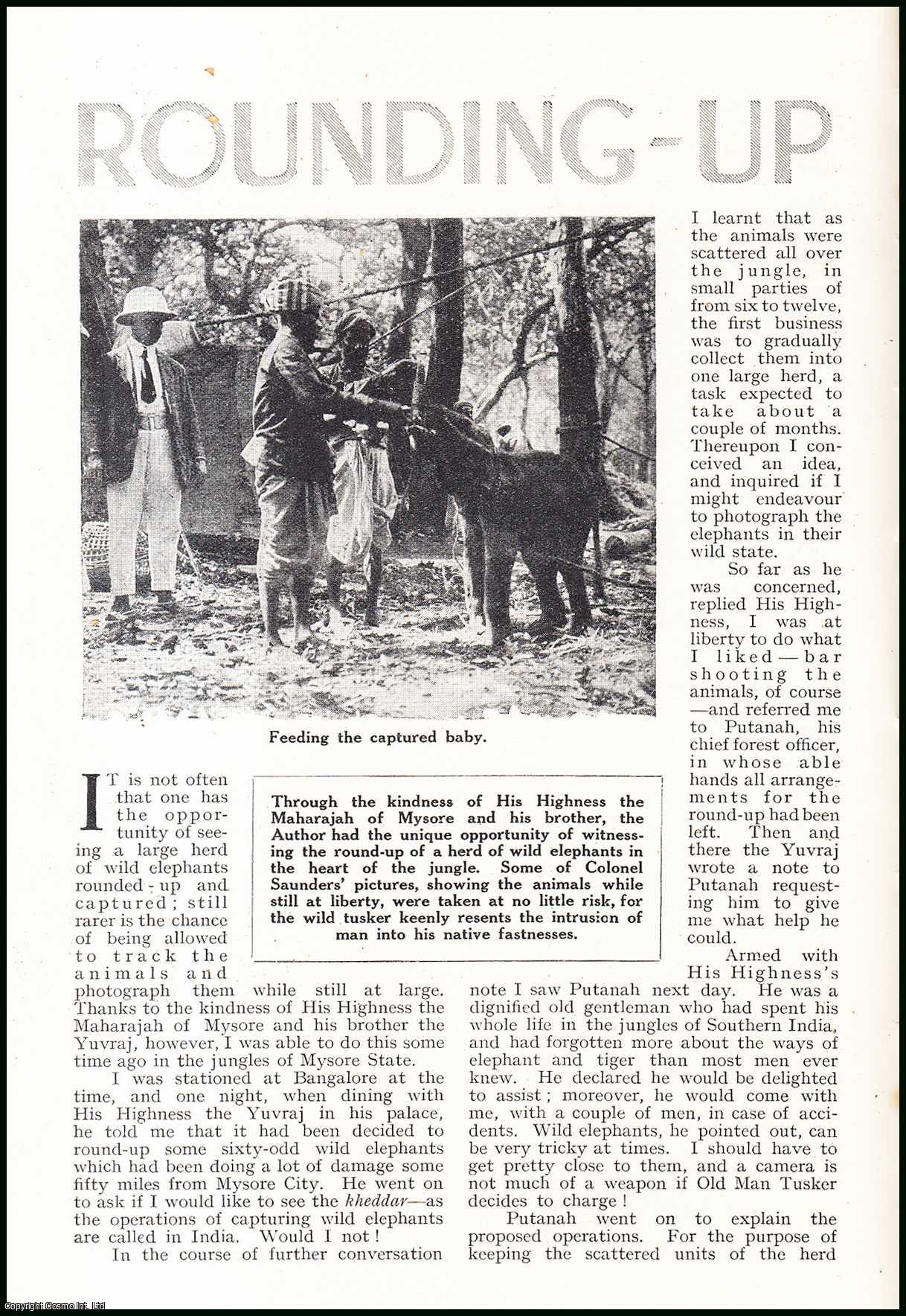 Lieut.-Colonel P.C. Saunders, O.B.E. - Rounding-Up Wild Elephants in the Jungles of Mysore State. An uncommon original article from the Wide World Magazine, 1937.