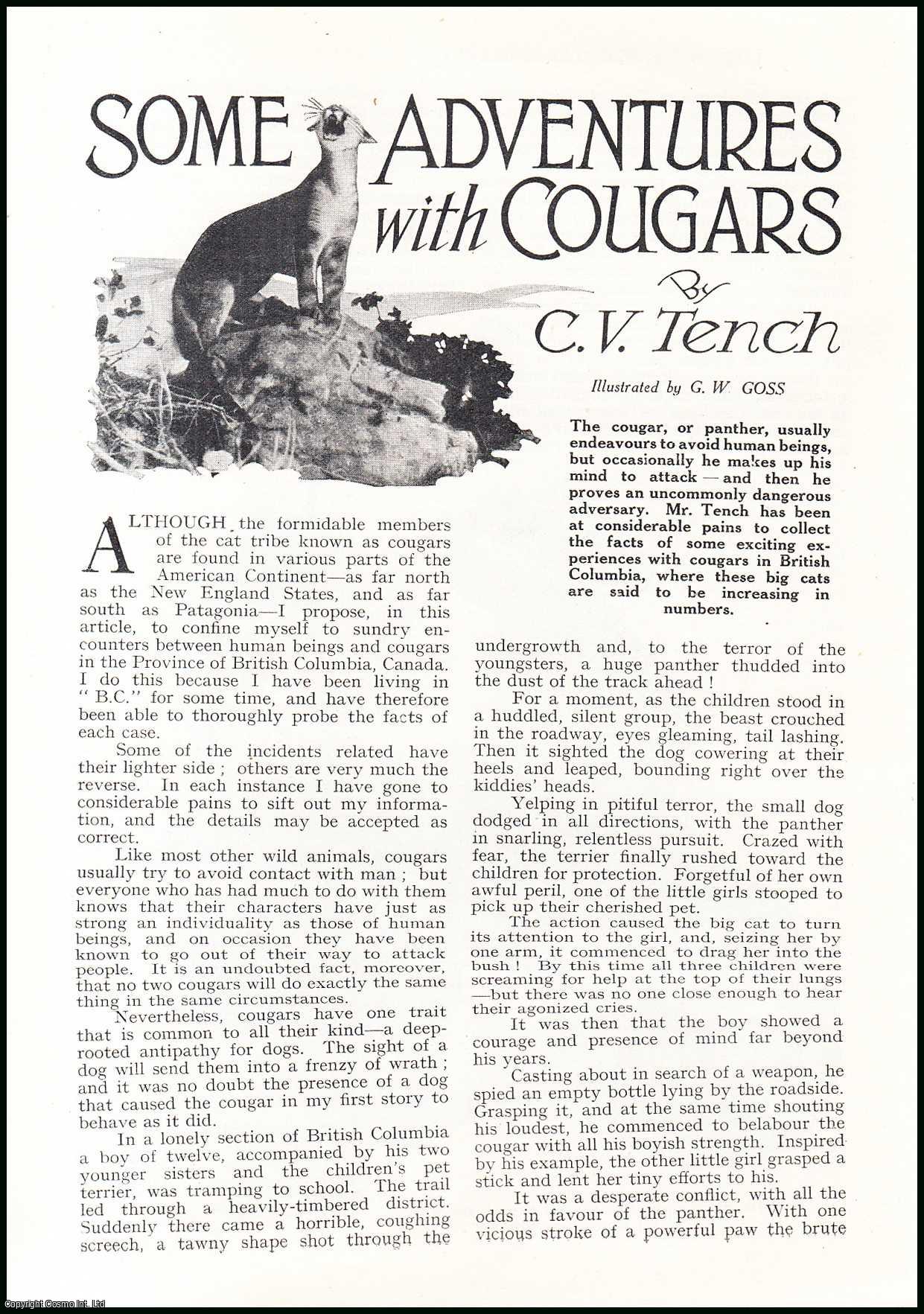 C.V. Tench. Illustrated by G.W. Goss. - Some Adventures with Cougars, British Columbia, Canada. An uncommon original article from the Wide World Magazine, 1931.
