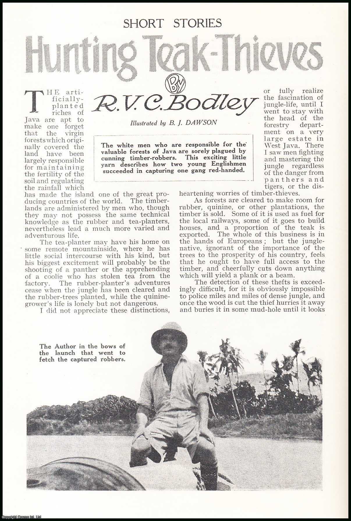 R.V.C. Bodley. Illustrated by B.J. Dawson. - Hunting Teak-Thieves in the Java Jungle. An uncommon original article from the Wide World Magazine, 1931.