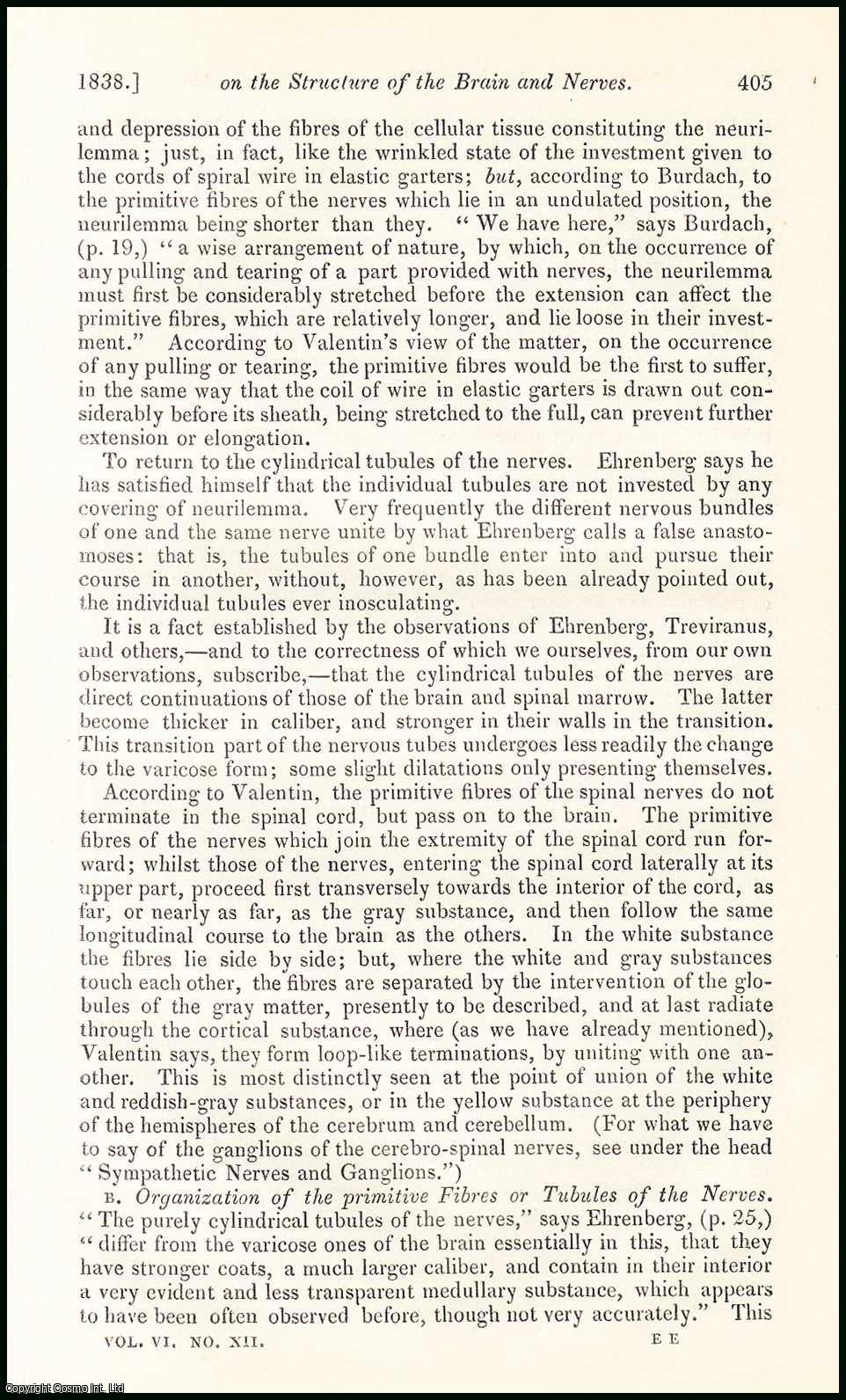 Edited by Sir John Forbes & John Conolly - On the Structure of the Brain & Nerves. An original essay from the British & Foreign Medical Review, 1838. No author is given for this article.