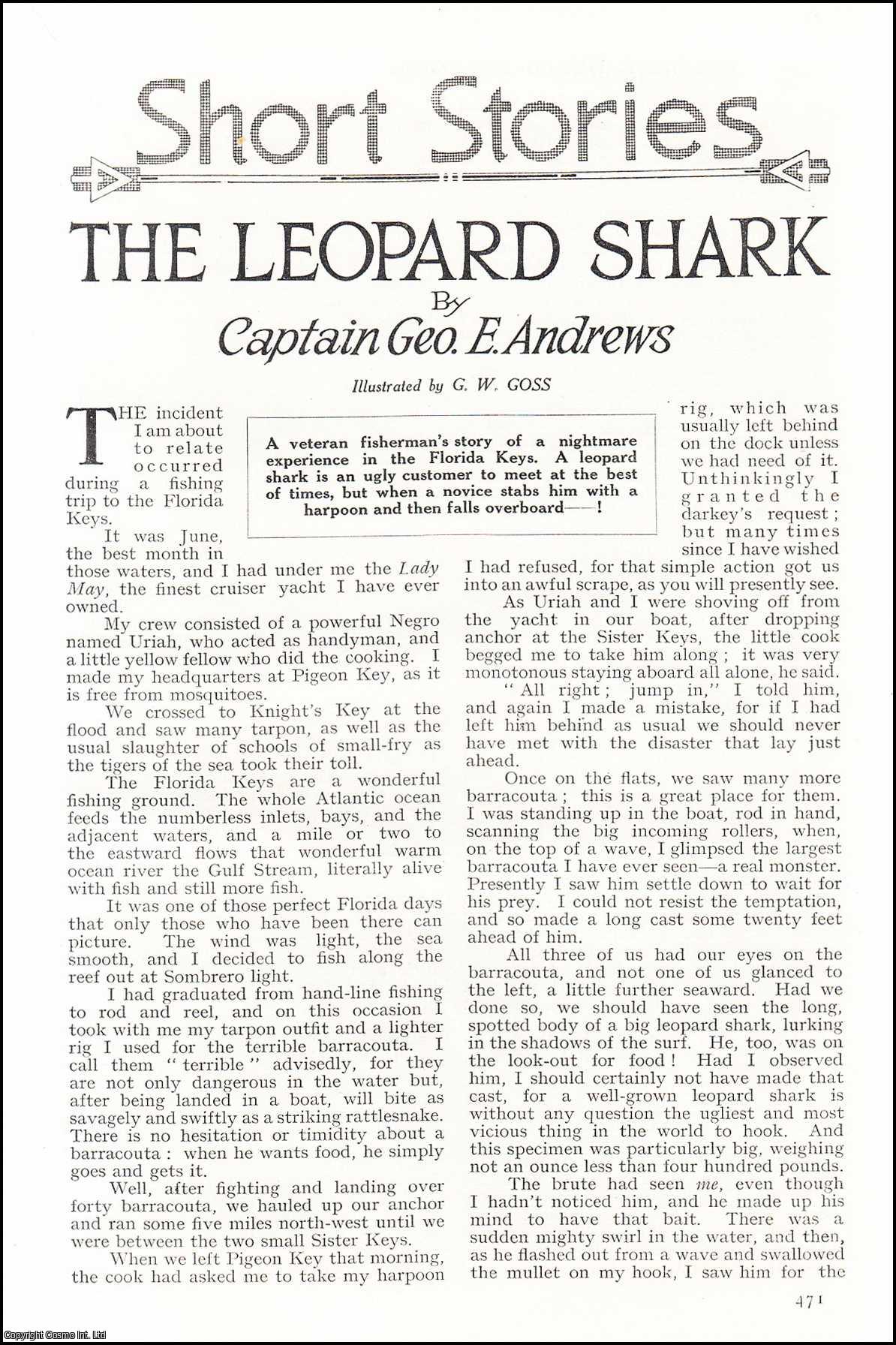 Captain George E. Andrews, illustrated by G.W. Goss. - The Leopard Shark, Florida Keys. An uncommon original article from the Wide World Magazine, 1931.