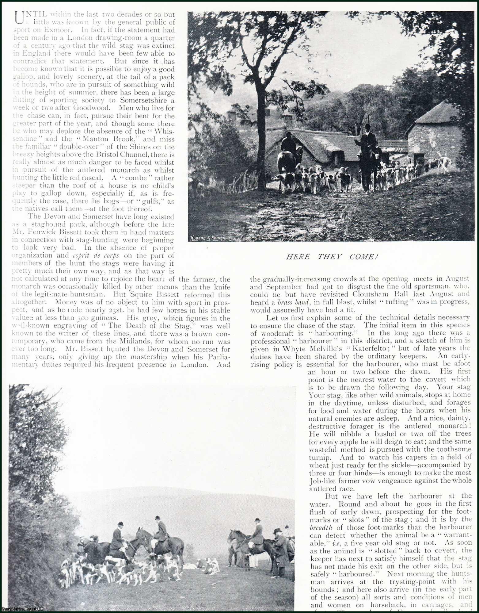 Country Life Magazine - With the Devon & Somerset Staghounds : Hunting the Wild Stag. Several pictures and accompanying text, removed from an original issue of Country Life Magazine, 1897.