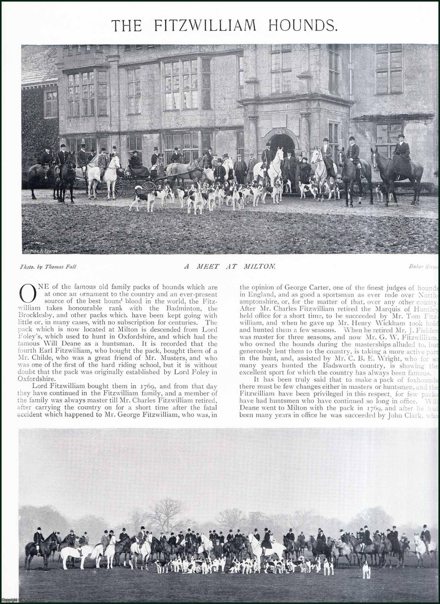 Country Life Magazine - The Fitzwilliam Hounds. Several pictures and accompanying text, removed from an original issue of Country Life Magazine, 1897.