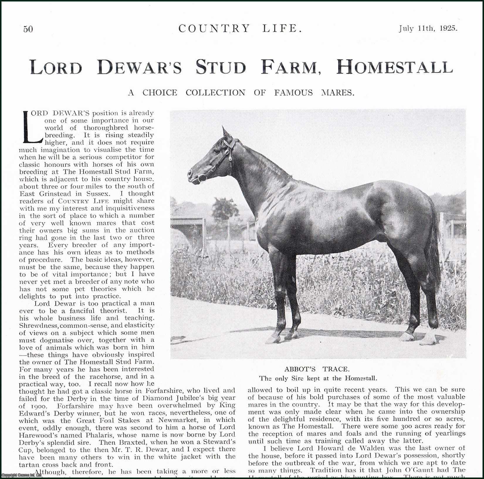 Country Life Magazine - Lord Dewar's Stud Farm, Homestall : Clear Trace ; Lady Juror ; Love in Idleness ; Silver Urn & others. Several pictures and accompanying text, removed from an original issue of Country Life Magazine, 1925.