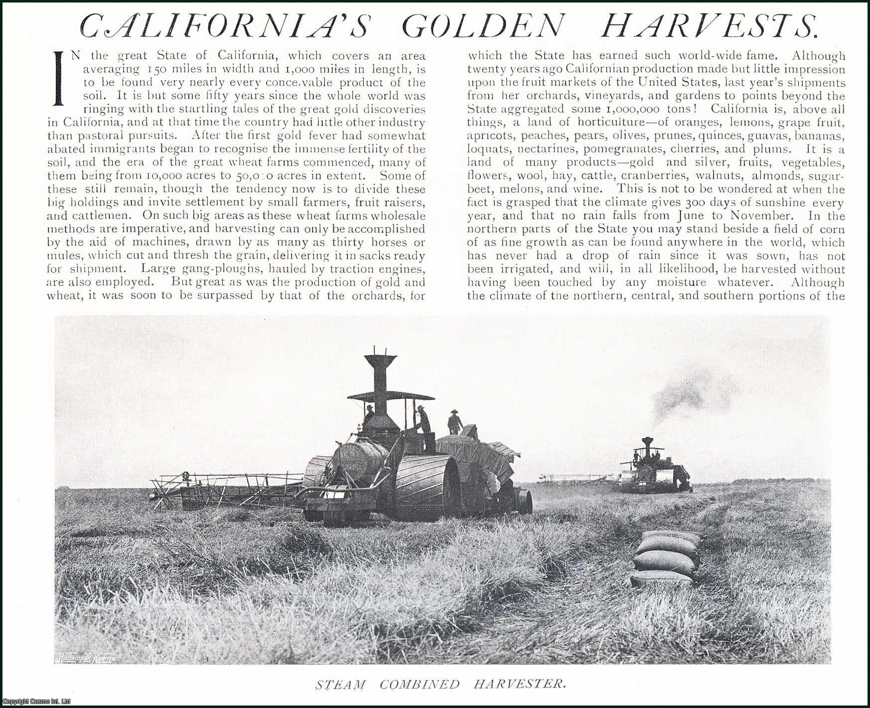 C. Eagle-Bott - California's Golden Harvests. Several pictures and accompanying text, removed from an original issue of Country Life Magazine, 1906.