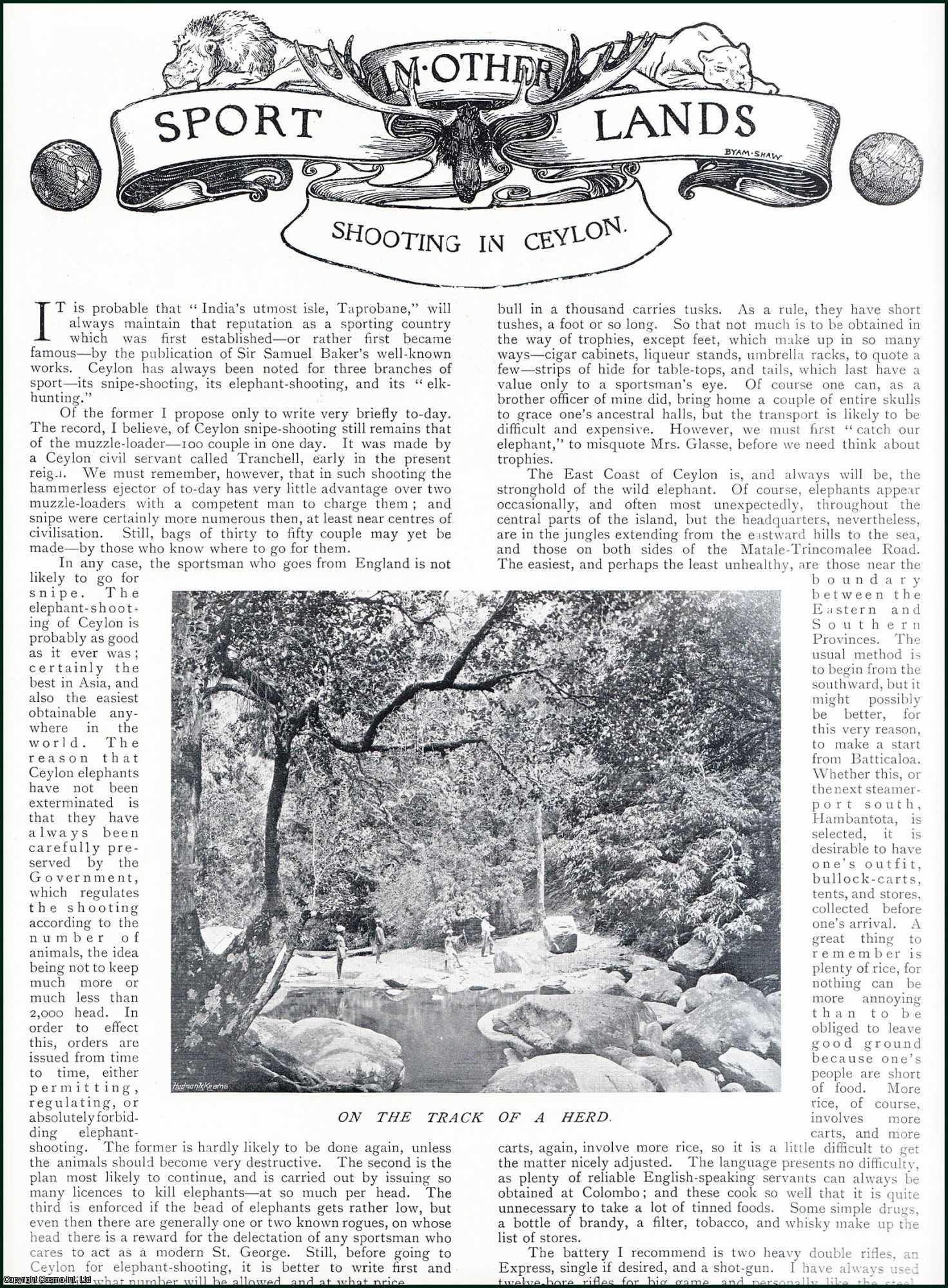 Country Life Magazine - Elephant Shooting in Ceylon. Several pictures and accompanying text, removed from an original issue of Country Life Magazine, 1899.