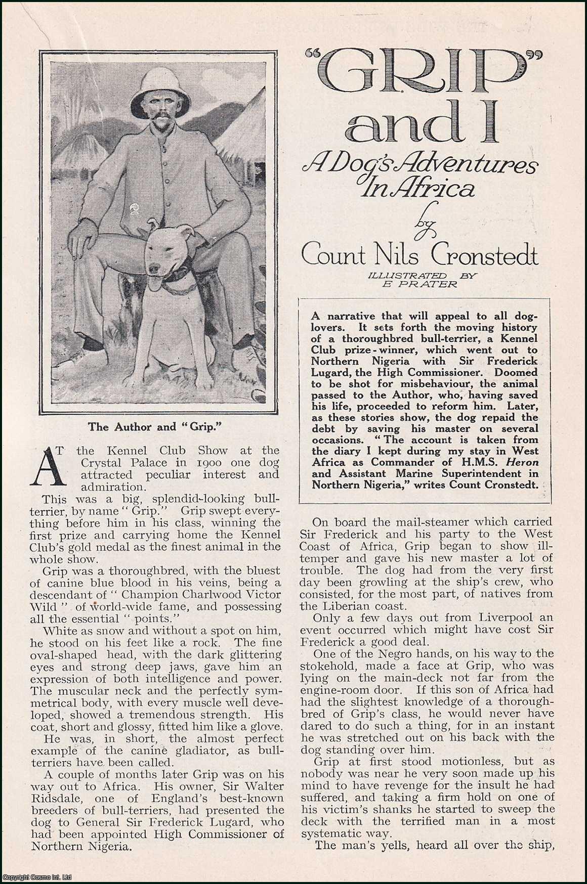 Count Nils Cronstedt. Illustrated by E. Prater. - Grip & I : a Bull-Terrier Dog's Adventures in Africa. A Kennel Club Prize-Winner. An uncommon original article from the Wide World Magazine, 1923.
