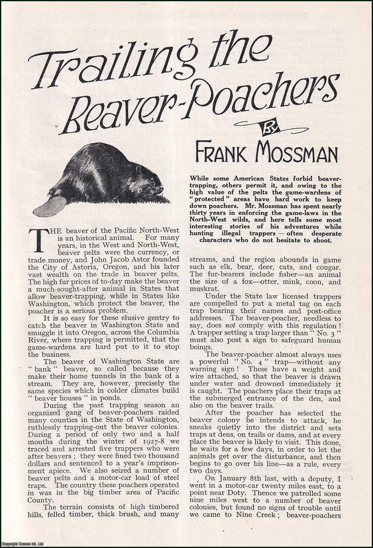 Frank Mossman - Trailing the Beaver-Poachers : beaver-trapping. An uncommon original article from the Wide World Magazine, 1928.