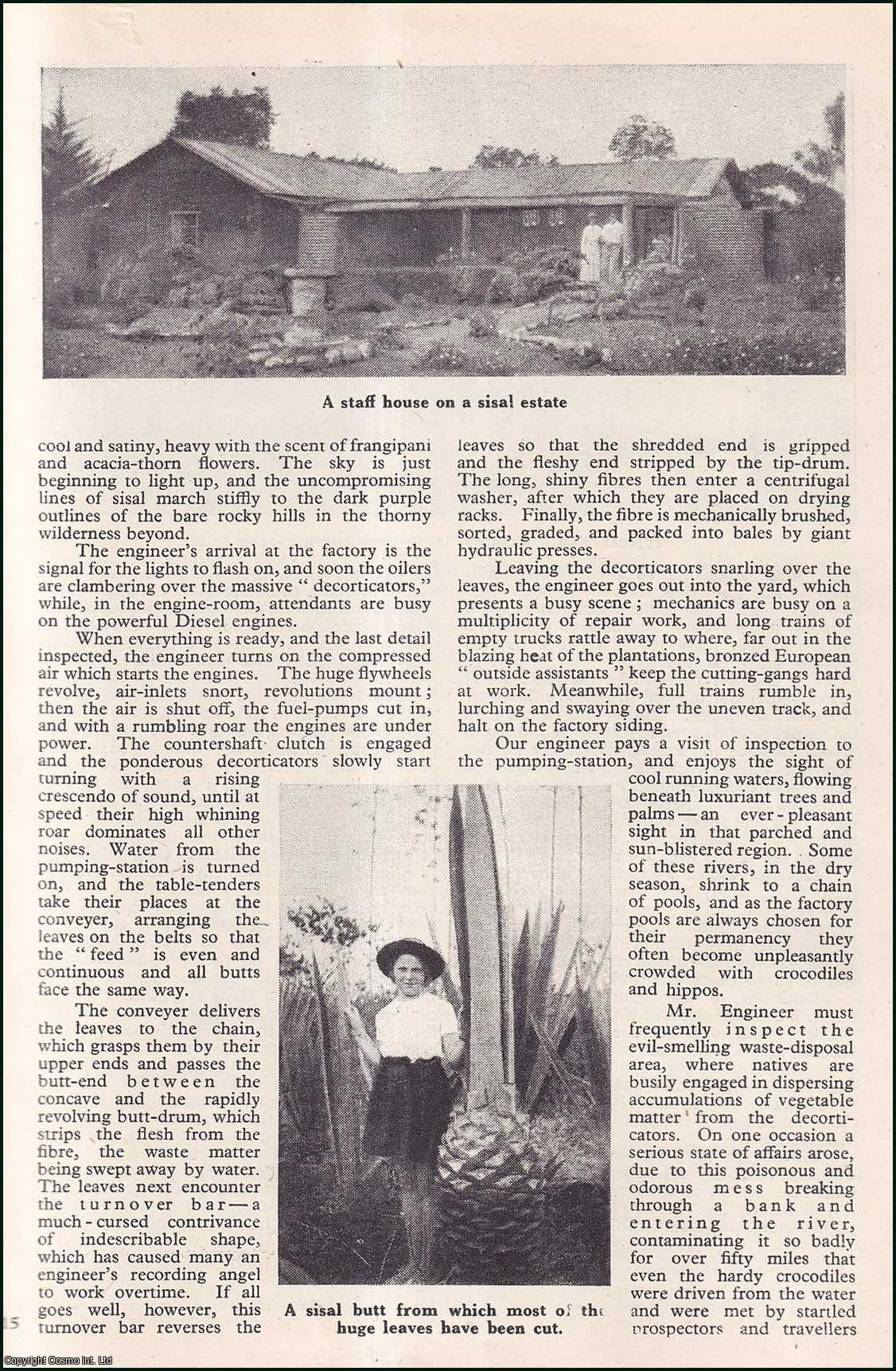 G.E.G. Plant - Sisal Engineer : Plantations. An uncommon original article from the Wide World Magazine, 1946.