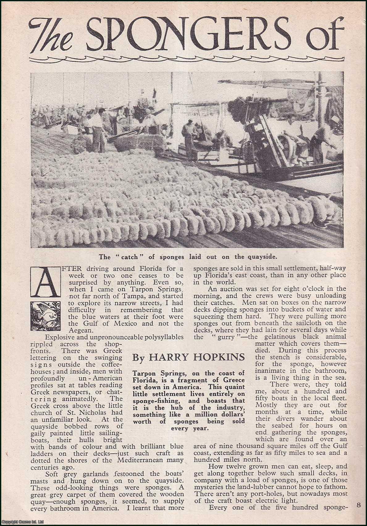 Harry Hopkins - The Spongers of Tarpon Springs, on the Coast of Florida : sponge fishing. An uncommon original article from the Wide World Magazine, 1947.