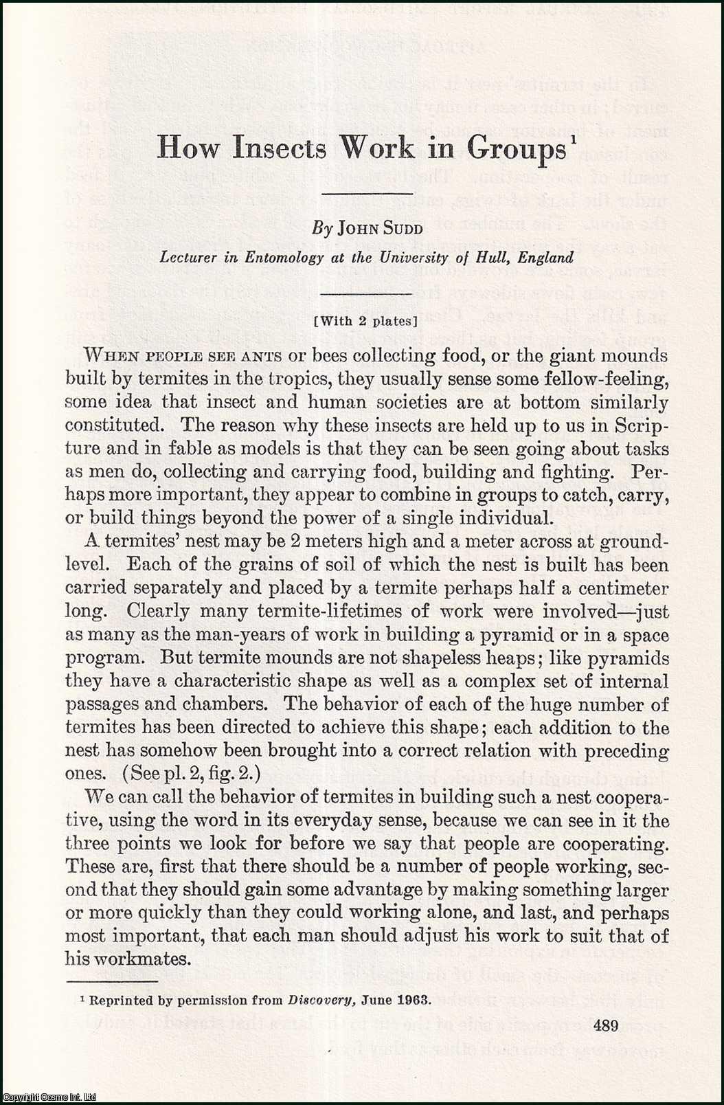 John Sudd, Lecturer in Entomology at the University of Hull, England. - How Insects Work in Groups. An uncommon original article from the Report of the Smithsonian Institution, 1964.
