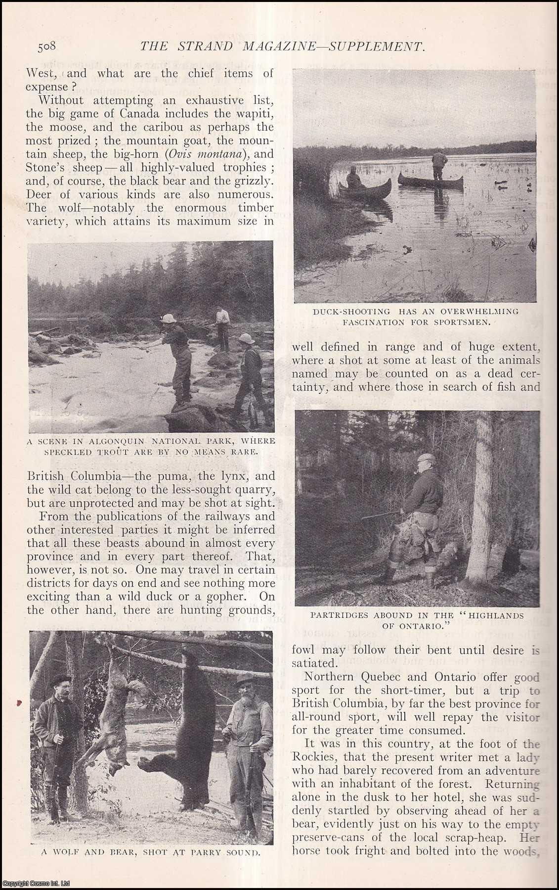 Denis Crane, Author of a Vicarious Vagabond, etc. - The Land of Nimrod : hunting big-game in Canada. An uncommon original article from The Strand Magazine, 1911.