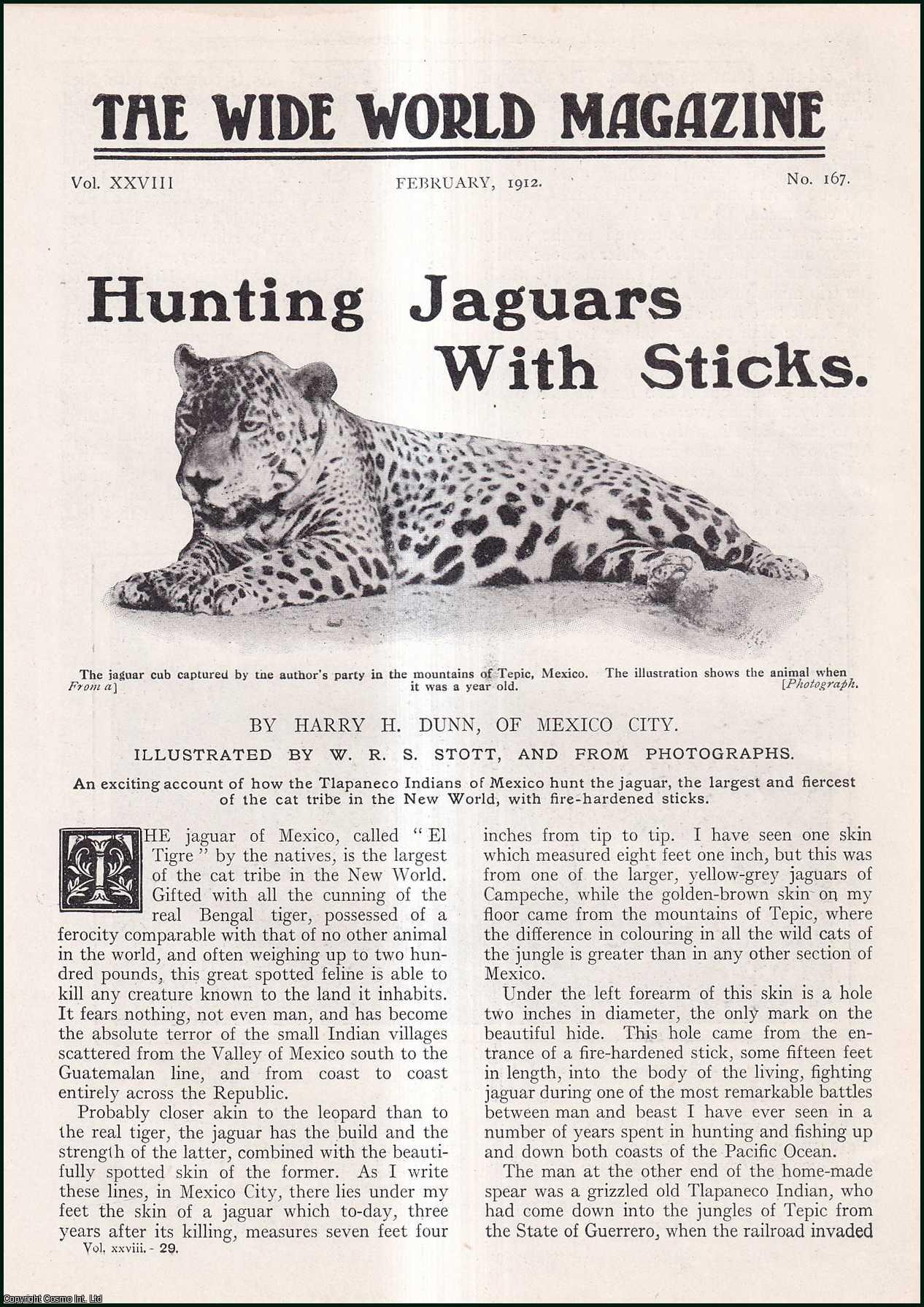 Harry H. Dunn, of Mexico City. Illustrated by W.R.S. Stott. - Hunting Jaguars with Sticks : the Tiapaneco Indians of Mexico. An uncommon original article from the Wide World Magazine, 1912.