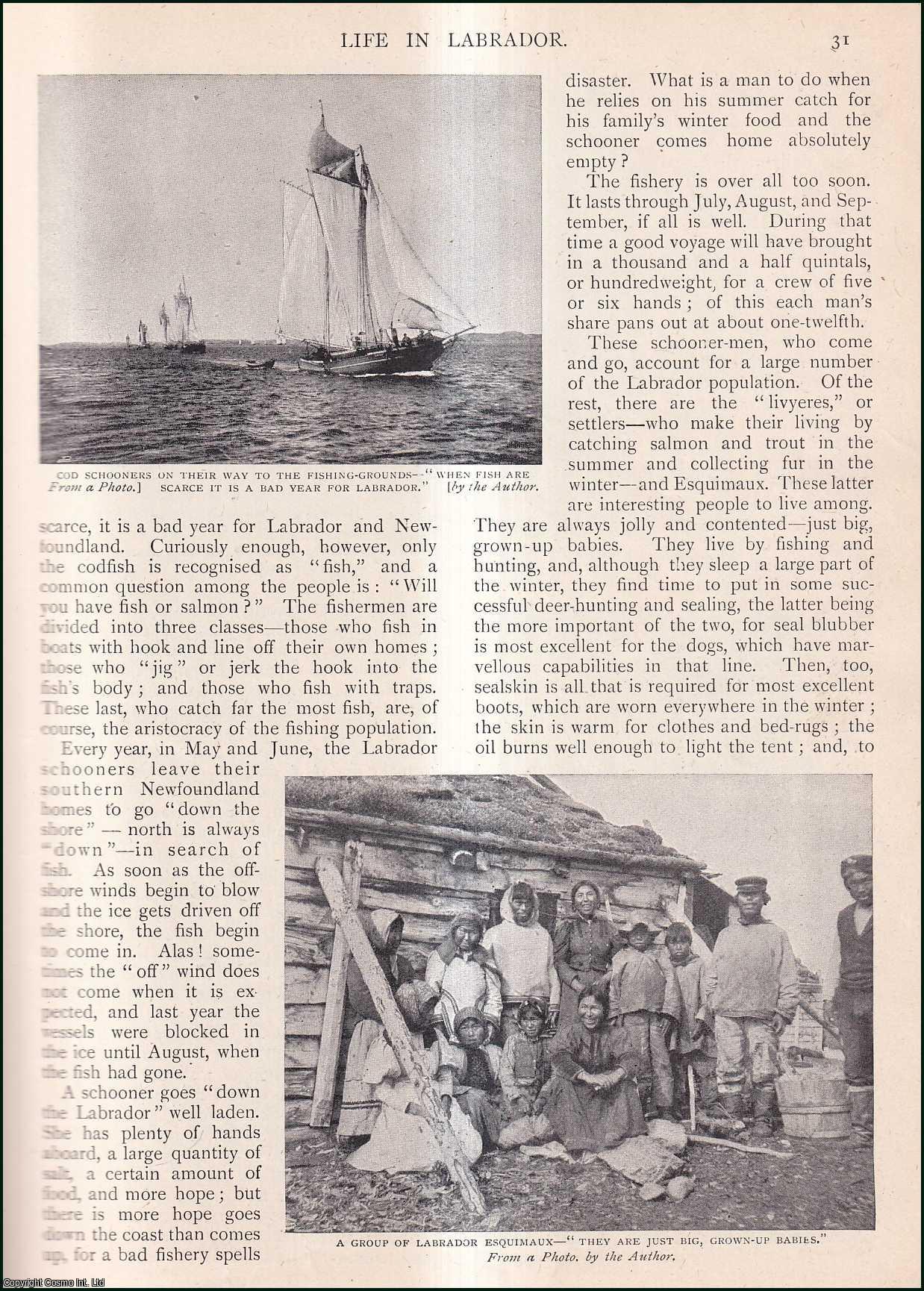 C. Turville Gardner - Life in Labrador, Canada. An uncommon original article from the Wide World Magazine, 1902.