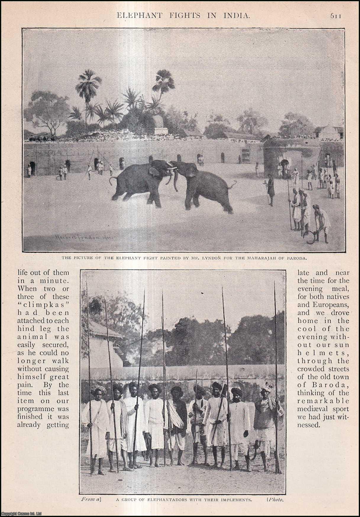 Herbert Lyndon - Elephant Fights in India. An uncommon original article from the Wide World Magazine, 1902.