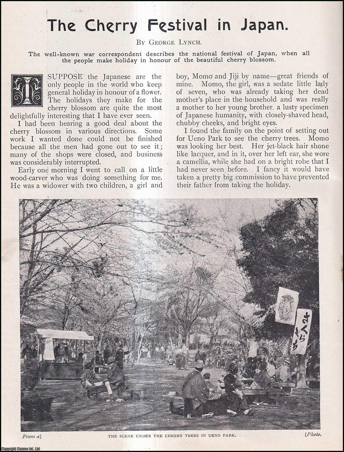 George Lynch - The Cherry Blossom Festival in Japan. An uncommon original article from the Wide World Magazine, 1904.