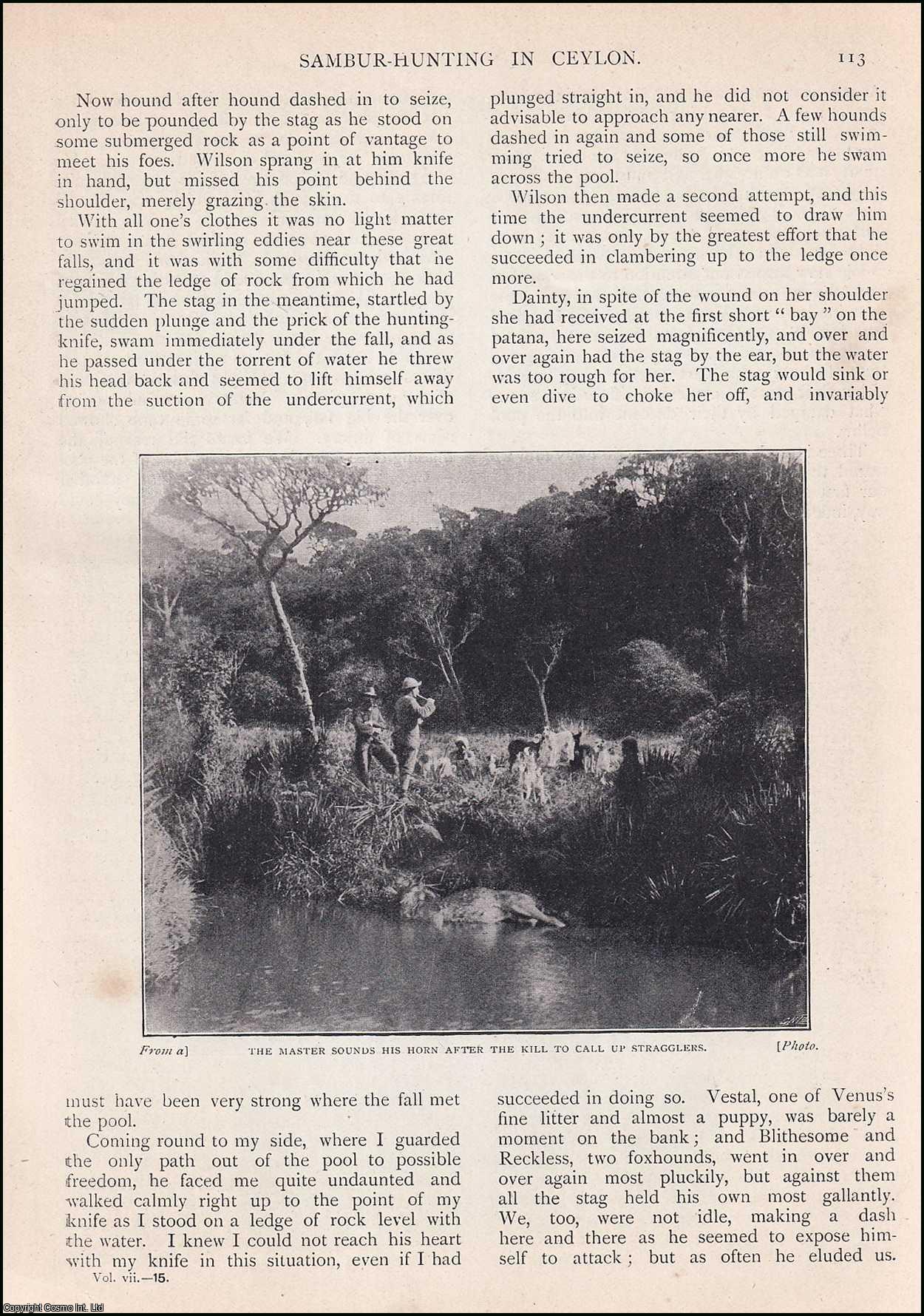 Thomas Farr - Sambur-Hunting in Ceylon : elk hunting in the Horton Plains District of Ceylon. An uncommon original article from the Wide World Magazine 1901.